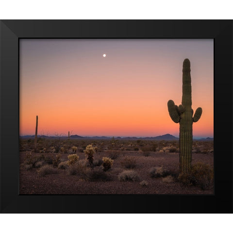 USA-Arizona-Kofa National Wildlife Area-Mountain and desert landscape at sunset Black Modern Wood Framed Art Print by Jaynes Gallery