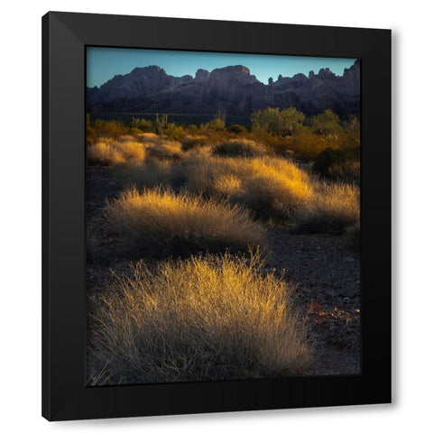 USA-Arizona-Kofa National Wildlife Area-Mountain and desert landscape at sunrise Black Modern Wood Framed Art Print with Double Matting by Jaynes Gallery