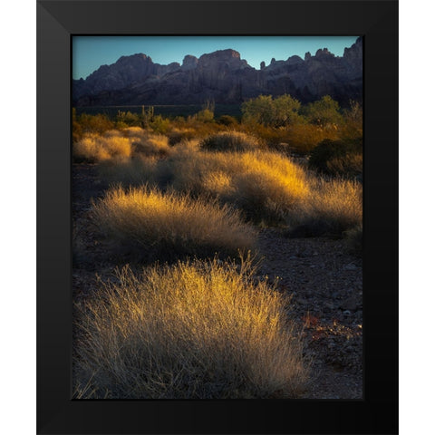 USA-Arizona-Kofa National Wildlife Area-Mountain and desert landscape at sunrise Black Modern Wood Framed Art Print by Jaynes Gallery