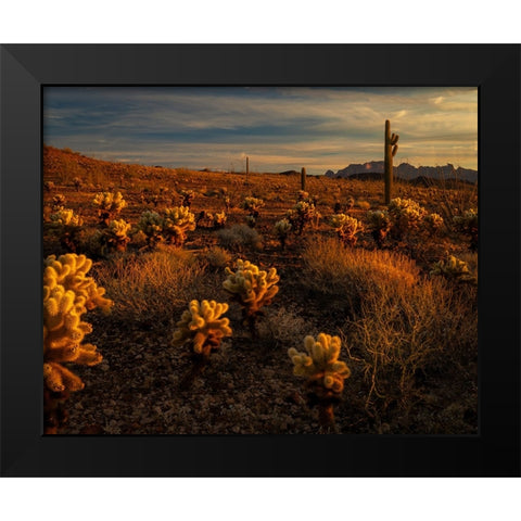 USA-Arizona-Kofa National Wildlife Area-Mountain and desert landscape at sunrise Black Modern Wood Framed Art Print by Jaynes Gallery