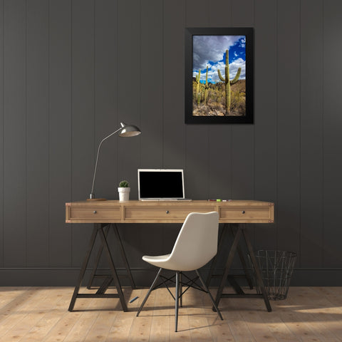 Saguaro Cactus in the Santa Catalina Mountains in Coronado National Forest in Tucson-Arizona-USA Black Modern Wood Framed Art Print by Haney, Chuck