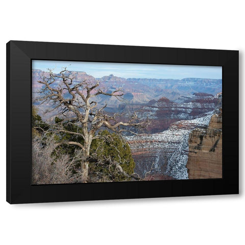 Powell Point-Grand Canyon National Park-Arizona-USA Black Modern Wood Framed Art Print by Reynolds, Gerry