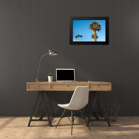 Palm trees-Carefree-Arizona Black Modern Wood Framed Art Print by McRoberts, Julien