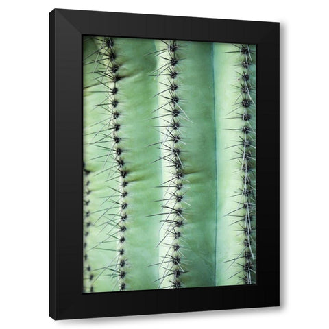 Desert cactus-Carefree-Arizona Black Modern Wood Framed Art Print by McRoberts, Julien