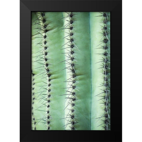 Desert cactus-Carefree-Arizona Black Modern Wood Framed Art Print by McRoberts, Julien