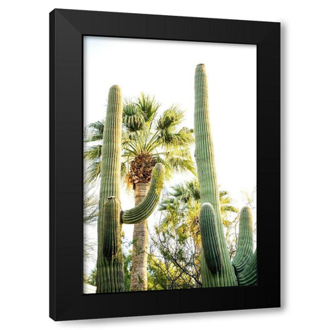 Desert cactus-Carefree-Arizona Black Modern Wood Framed Art Print with Double Matting by McRoberts, Julien