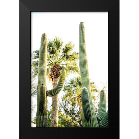 Desert cactus-Carefree-Arizona Black Modern Wood Framed Art Print by McRoberts, Julien