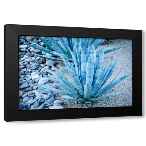 Desert cactus-Carefree-Arizona Black Modern Wood Framed Art Print by McRoberts, Julien