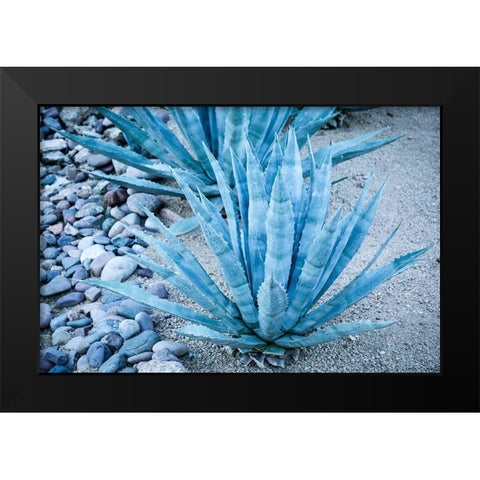 Desert cactus-Carefree-Arizona Black Modern Wood Framed Art Print by McRoberts, Julien