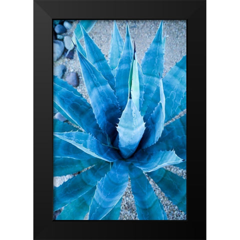Desert cactus-Carefree-Arizona Black Modern Wood Framed Art Print by McRoberts, Julien