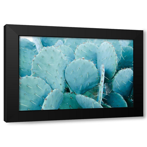 Desert cactus-Carefree-Arizona Black Modern Wood Framed Art Print by McRoberts, Julien