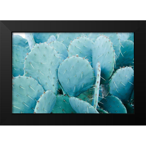 Desert cactus-Carefree-Arizona Black Modern Wood Framed Art Print by McRoberts, Julien