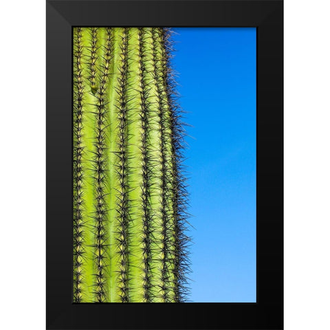 Desert cactus-Carefree-Arizona Black Modern Wood Framed Art Print by McRoberts, Julien