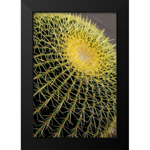 Desert cactus-Carefree-Arizona Black Modern Wood Framed Art Print by McRoberts, Julien