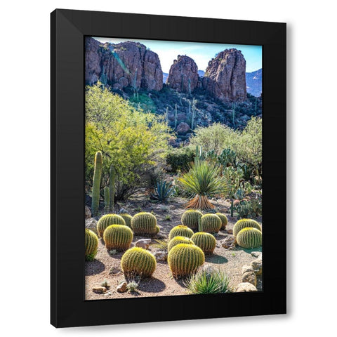 Arizona- USA. Saguaro Cactus Black Modern Wood Framed Art Print by Sienda, Jolly