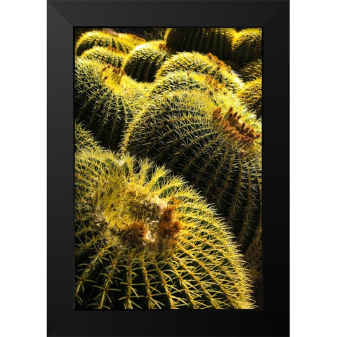 Apache Junction- Arizona- USA. Cactus Black Modern Wood Framed Art Print by Sienda, Jolly