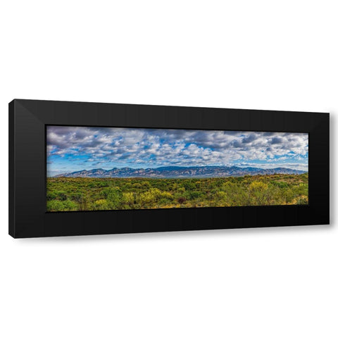 Arizona-Tucson-Saguaro National Park Black Modern Wood Framed Art Print by Hawkins, Peter