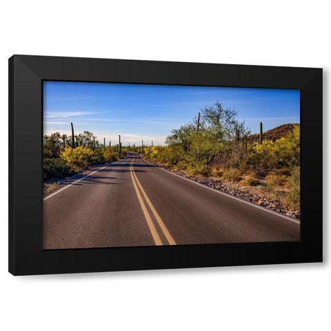 Arizona-Tucson-Saguaro National Park Black Modern Wood Framed Art Print with Double Matting by Hawkins, Peter
