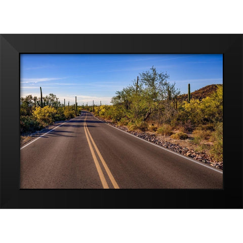 Arizona-Tucson-Saguaro National Park Black Modern Wood Framed Art Print by Hawkins, Peter
