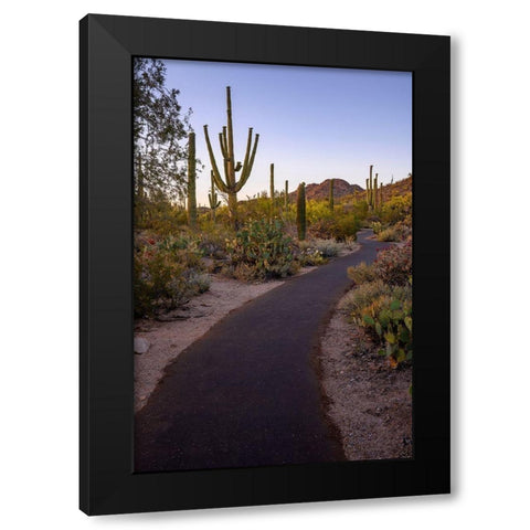 Arizona-Tucson-Saguaro National Park Black Modern Wood Framed Art Print with Double Matting by Hawkins, Peter