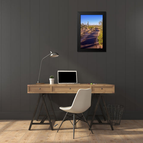 Arizona-Tucson-Saguaro National Park Black Modern Wood Framed Art Print by Hawkins, Peter