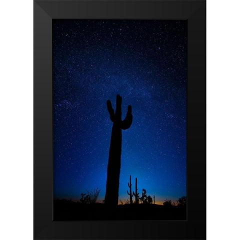 A giant saguaro cactus silhouettes in the clear Arizona evening Black Modern Wood Framed Art Print by SMO