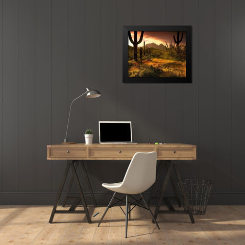 The desert glows with streaming light in Organ Pipe Cactus National Monument  Black Modern Wood Framed Art Print by SMO