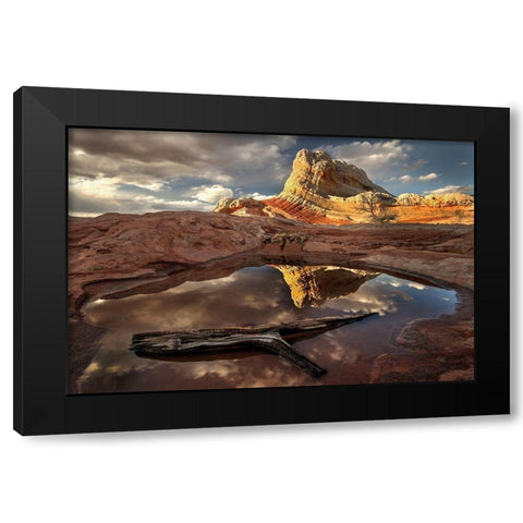 A log in a pool reflect white pockets area in northern Arizona Black Modern Wood Framed Art Print by SMO