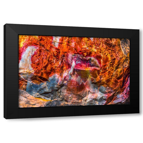Red-orange and yellow petrified wood abstract-Blue Mesa-Petrified Forest National Park-Arizona Black Modern Wood Framed Art Print with Double Matting by Perry, William