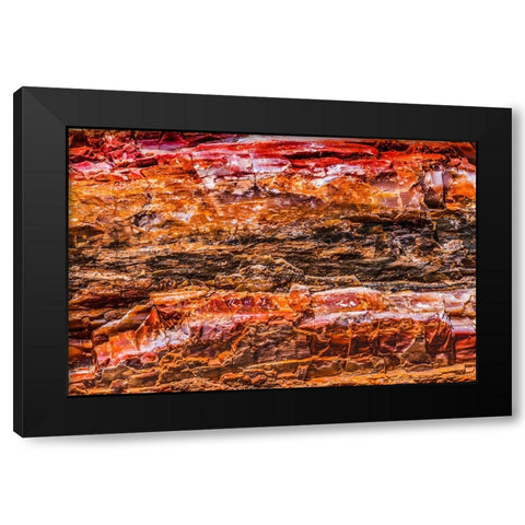 Red-orange and yellow petrified wood abstract-Blue Mesa-Petrified Forest National Park-Arizona Black Modern Wood Framed Art Print with Double Matting by Perry, William