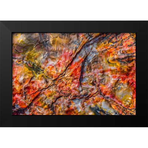 Red-blue-orange petrified wood-Visitor Center-Petrified Forest National Park-Arizona Black Modern Wood Framed Art Print by Perry, William
