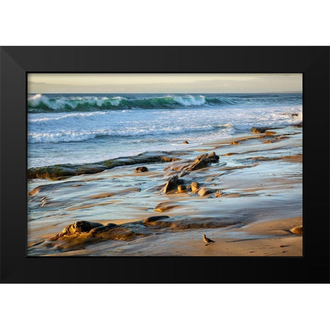 California-La Jolla-Surf breaking off Coast Blvd Park Black Modern Wood Framed Art Print by Collins, Ann