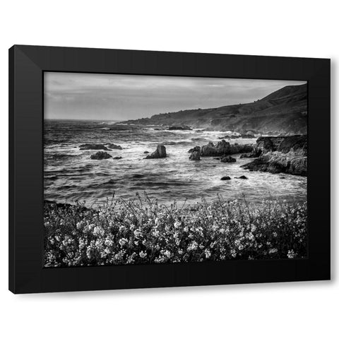 USA-California-Big Sur Dusk and mustard plants at Soberanes Cove Black Modern Wood Framed Art Print with Double Matting by Collins, Ann