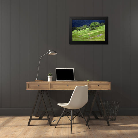 Grasses and trees-Dolason Prairie just off Bald Hills Road-California Black Modern Wood Framed Art Print by Jones, Adam