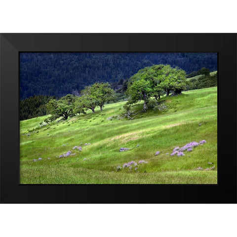 Grasses and trees-Dolason Prairie just off Bald Hills Road-California Black Modern Wood Framed Art Print by Jones, Adam