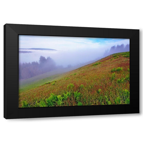 Foggy view of grasses Dolason Prairie Black Modern Wood Framed Art Print with Double Matting by Jones, Adam