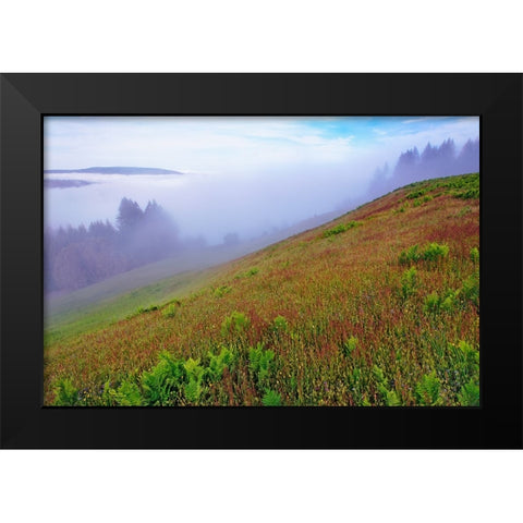 Foggy view of grasses Dolason Prairie Black Modern Wood Framed Art Print by Jones, Adam