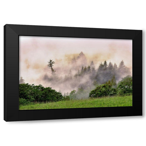 Hillside of evergreen trees among fog-Bald Hills Road-California Black Modern Wood Framed Art Print by Jones, Adam