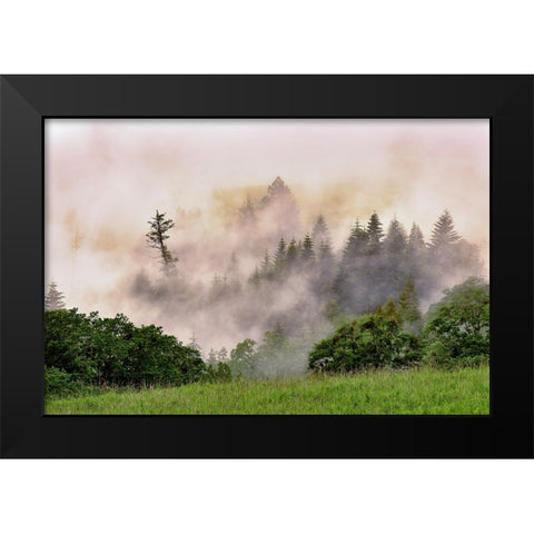 Hillside of evergreen trees among fog-Bald Hills Road-California Black Modern Wood Framed Art Print by Jones, Adam
