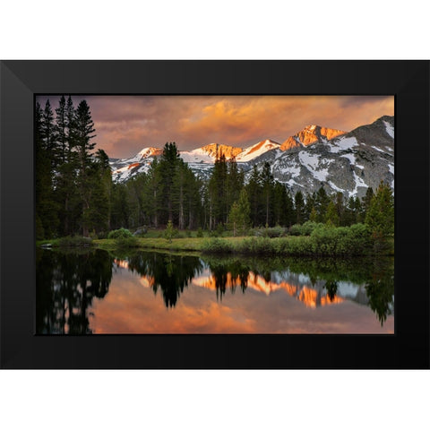Alpine tarn-Tuolumne Meadows sunrise-Yosemite National Park-California Black Modern Wood Framed Art Print by Jones, Adam