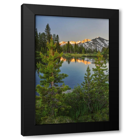 Alpine tarn-Tuolumne Meadows sunrise-Yosemite National Park-California Black Modern Wood Framed Art Print with Double Matting by Jones, Adam