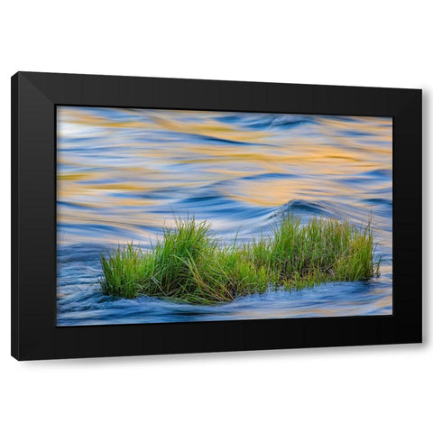 Sunset reflection on Merced River-Yosemite National Park-California Black Modern Wood Framed Art Print with Double Matting by Jones, Adam