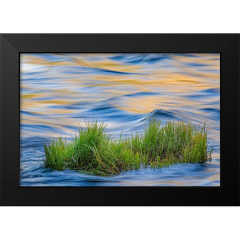 Sunset reflection on Merced River-Yosemite National Park-California Black Modern Wood Framed Art Print by Jones, Adam