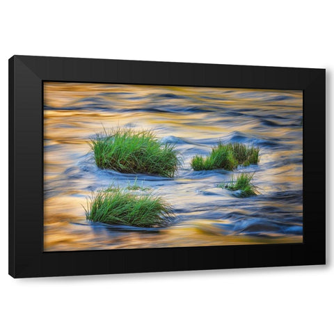 Sunset reflection on Merced River-Yosemite National Park-California Black Modern Wood Framed Art Print with Double Matting by Jones, Adam