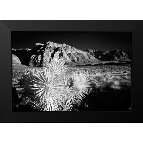 Joshua tree-Mojave Desert-California Black Modern Wood Framed Art Print by Jones, Adam