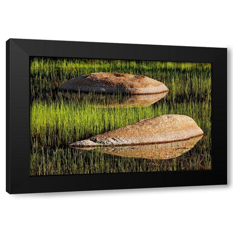 Rocks and grass at first light-Tuolumne Meadows-Yosemite National Park-California Black Modern Wood Framed Art Print with Double Matting by Jones, Adam