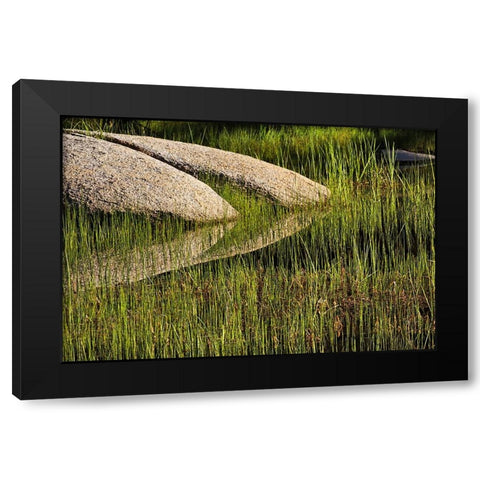 Rocks and grass at first light-Tuolumne Meadows-Yosemite National Park-California Black Modern Wood Framed Art Print with Double Matting by Jones, Adam