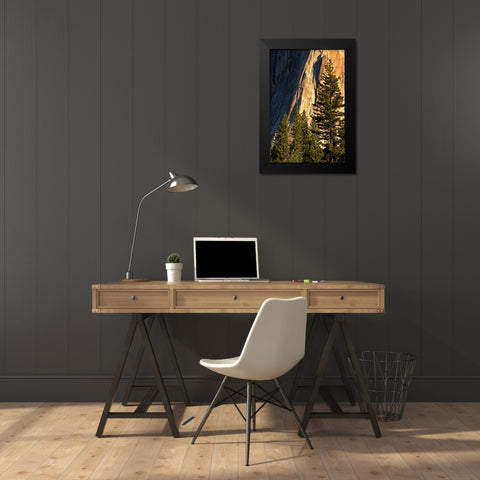 Pines at base of El Capitan-Yosemite National Park-California Black Modern Wood Framed Art Print by Jones, Adam