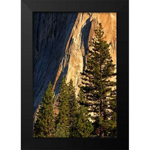 Pines at base of El Capitan-Yosemite National Park-California Black Modern Wood Framed Art Print by Jones, Adam