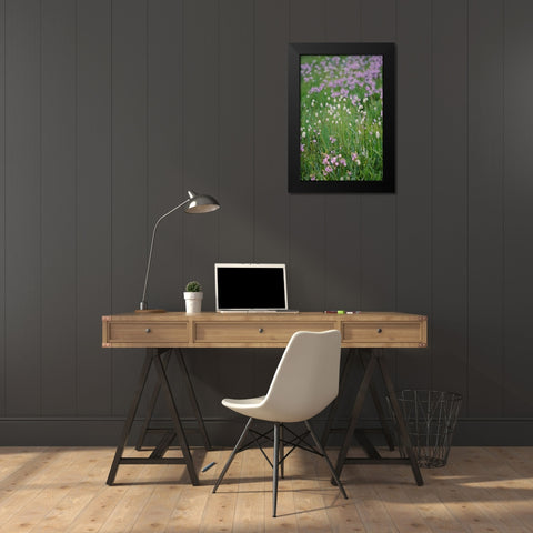 Bistort flowers Tuolumne Meadows-Yosemite National Park-California Black Modern Wood Framed Art Print by Jones, Adam